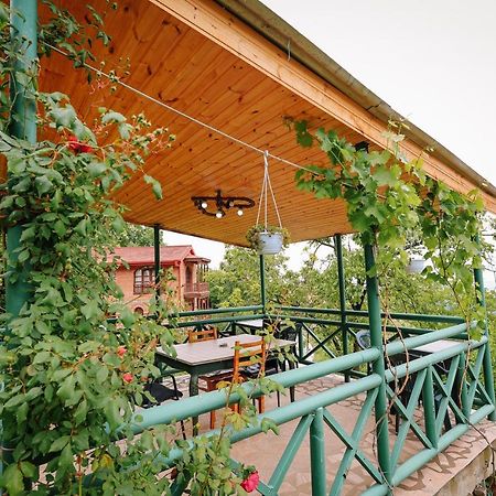 Guest House Evdoshvili St N5 Szenaki Kültér fotó