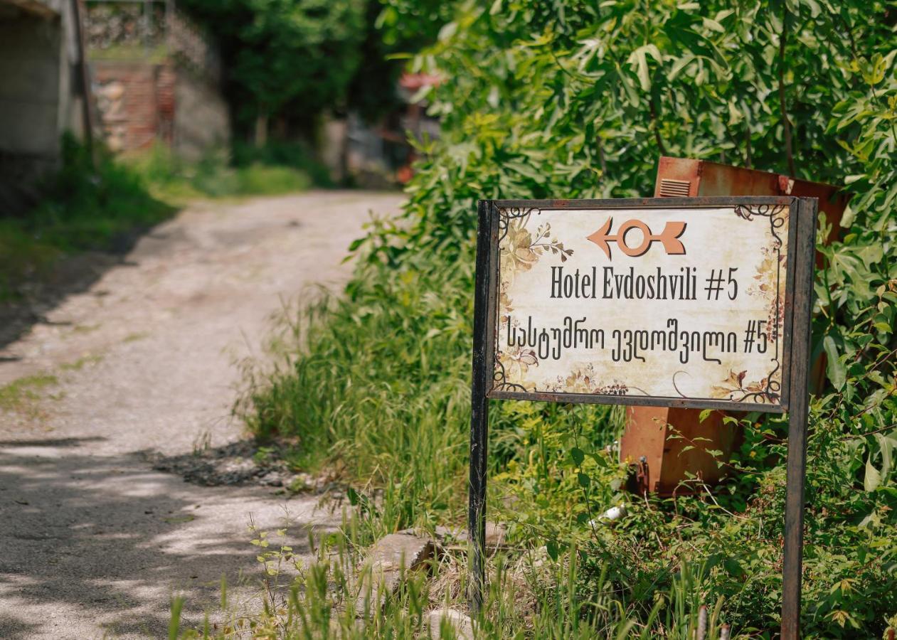 Guest House Evdoshvili St N5 Szenaki Kültér fotó