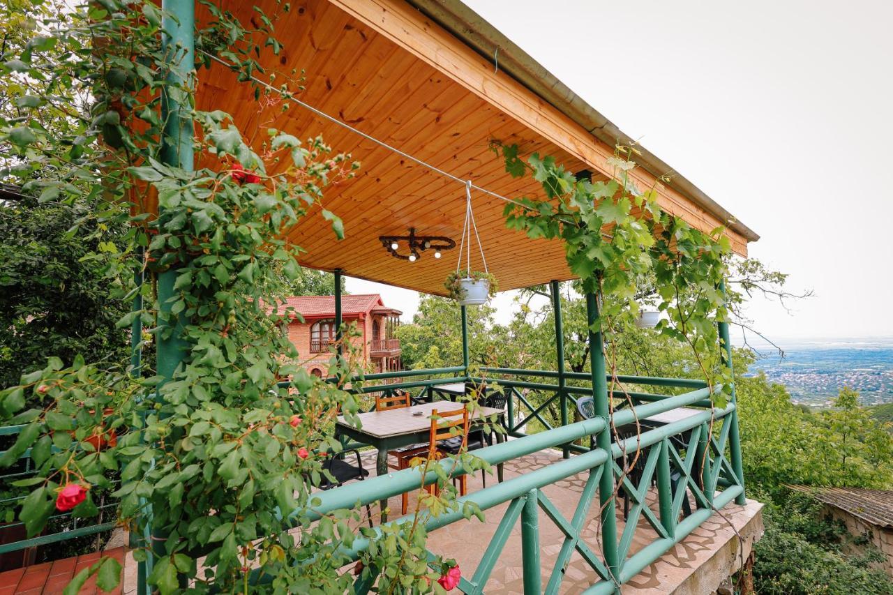 Guest House Evdoshvili St N5 Szenaki Kültér fotó