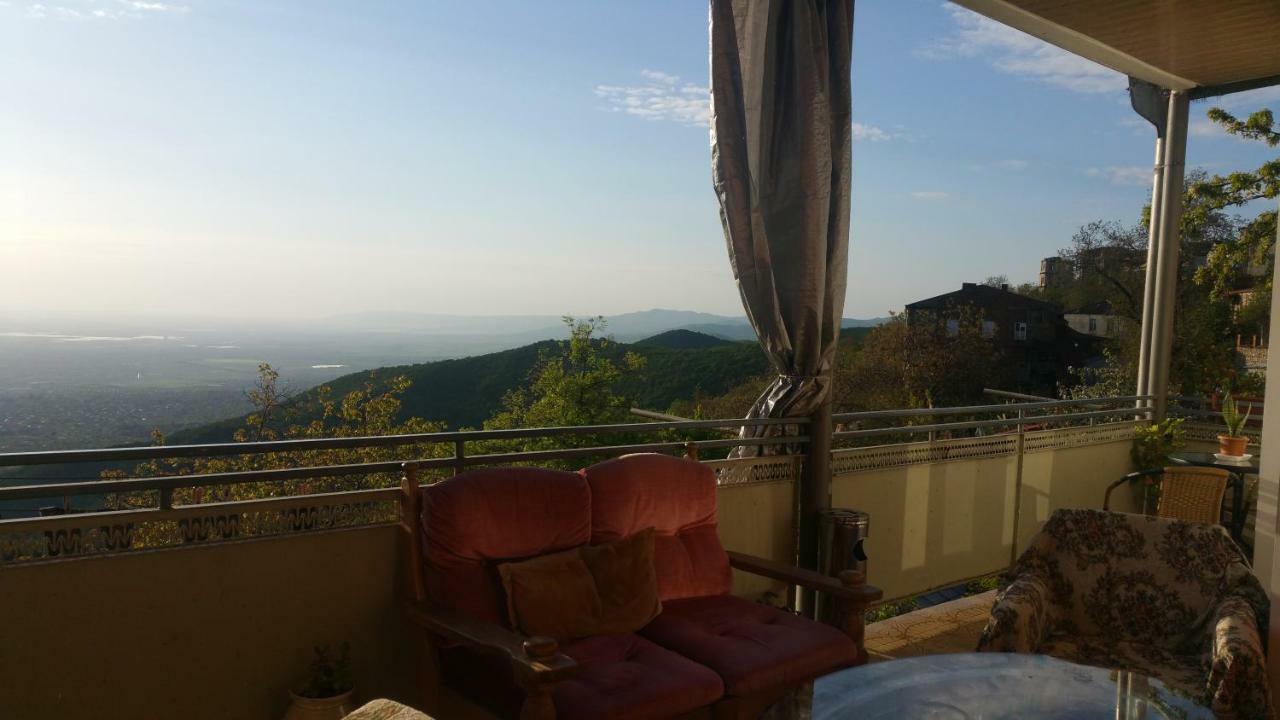 Guest House Evdoshvili St N5 Szenaki Kültér fotó